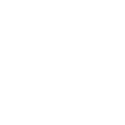 (c) Boomwerk.de